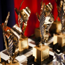 Brighton Grammar Hall of Fame Trophies