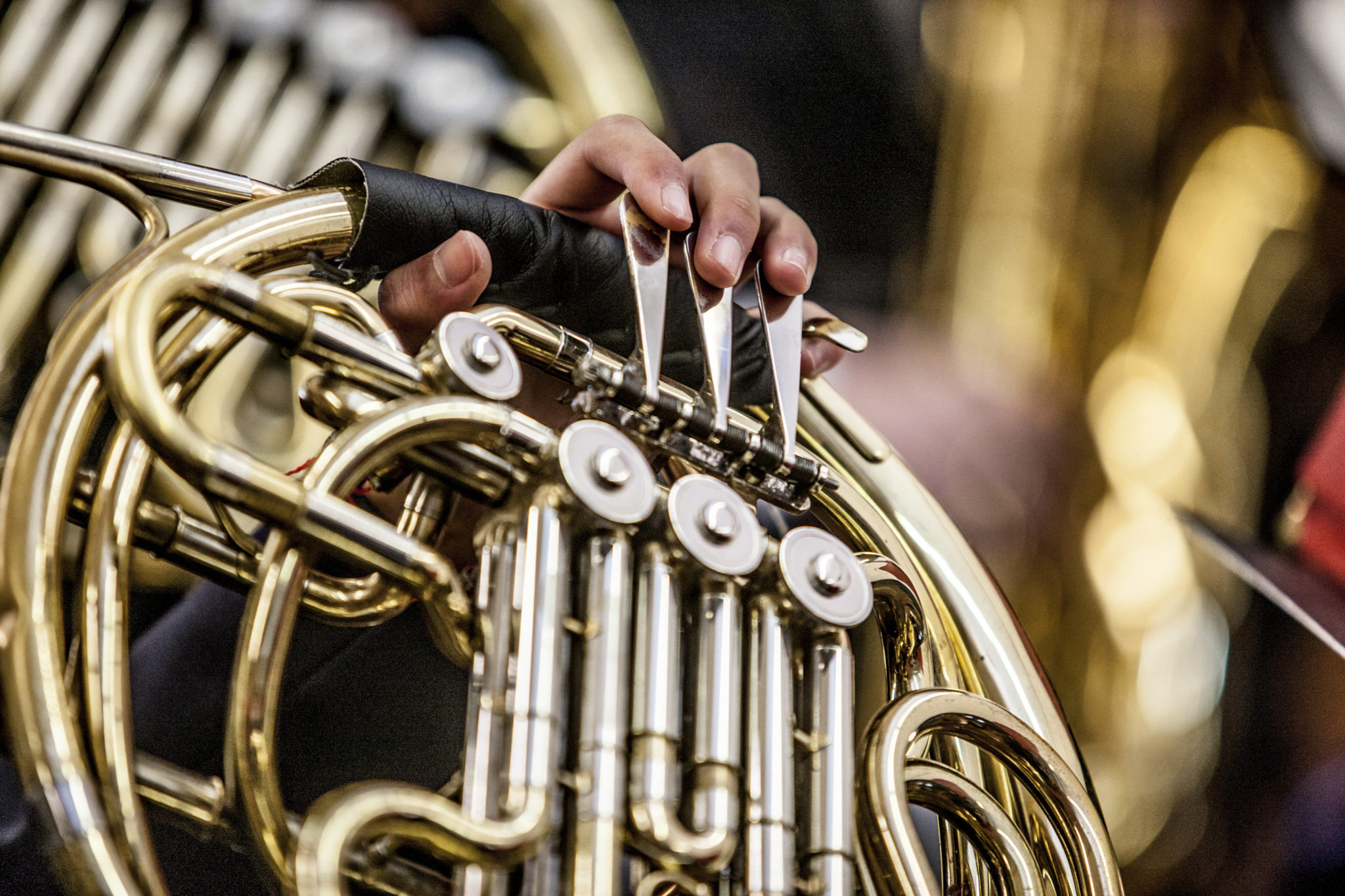 French horn Player Brighton Grammar Leading Private School Boys