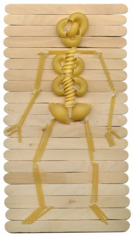 Pasta Skeletons | Brighton Grammar: Leading Private School | Boys
